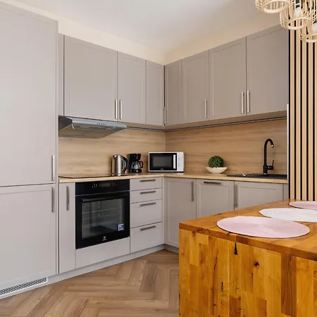 Appartement Modern With Air Conditioning & Workspace In Gliwice By Renters Labedy