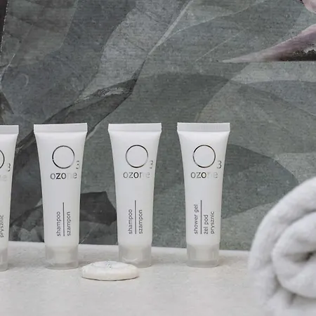 Modern With Air Conditioning & Workspace In Gliwice By Renters