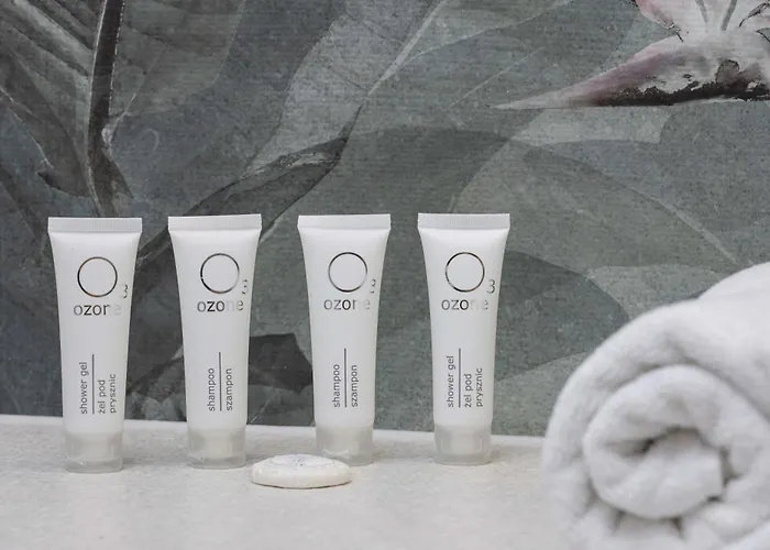 Modern With Air Conditioning & Workspace In Gliwice By Renters